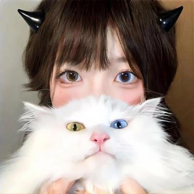 企鹅